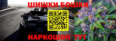 сатива Можга